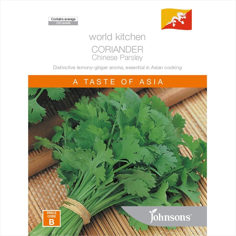 CORANDER CHINESE PARSLEY Garden Feast
