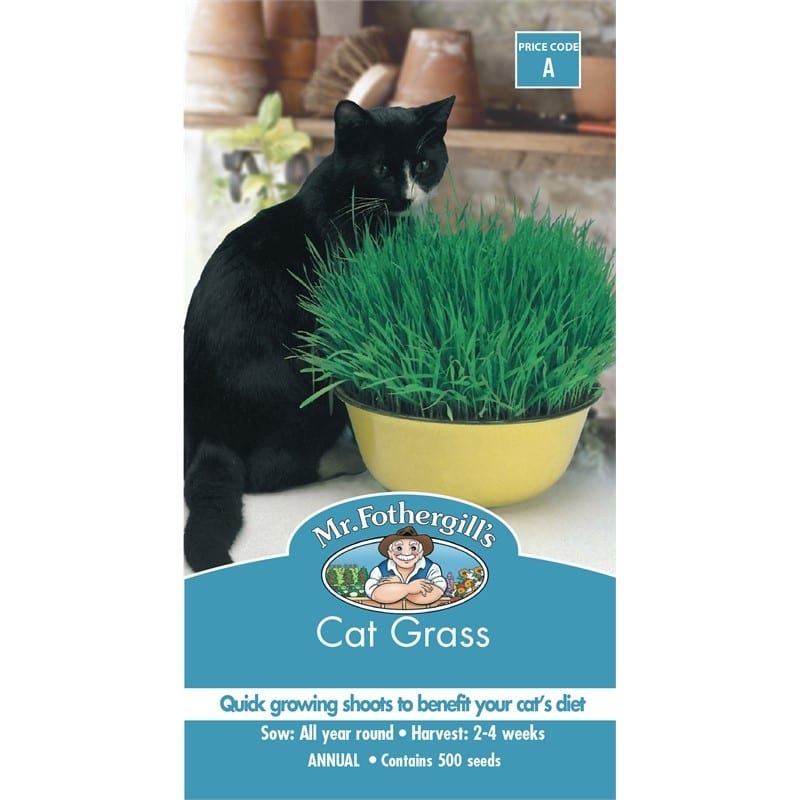 Cat Grass Seed | Garden Feast