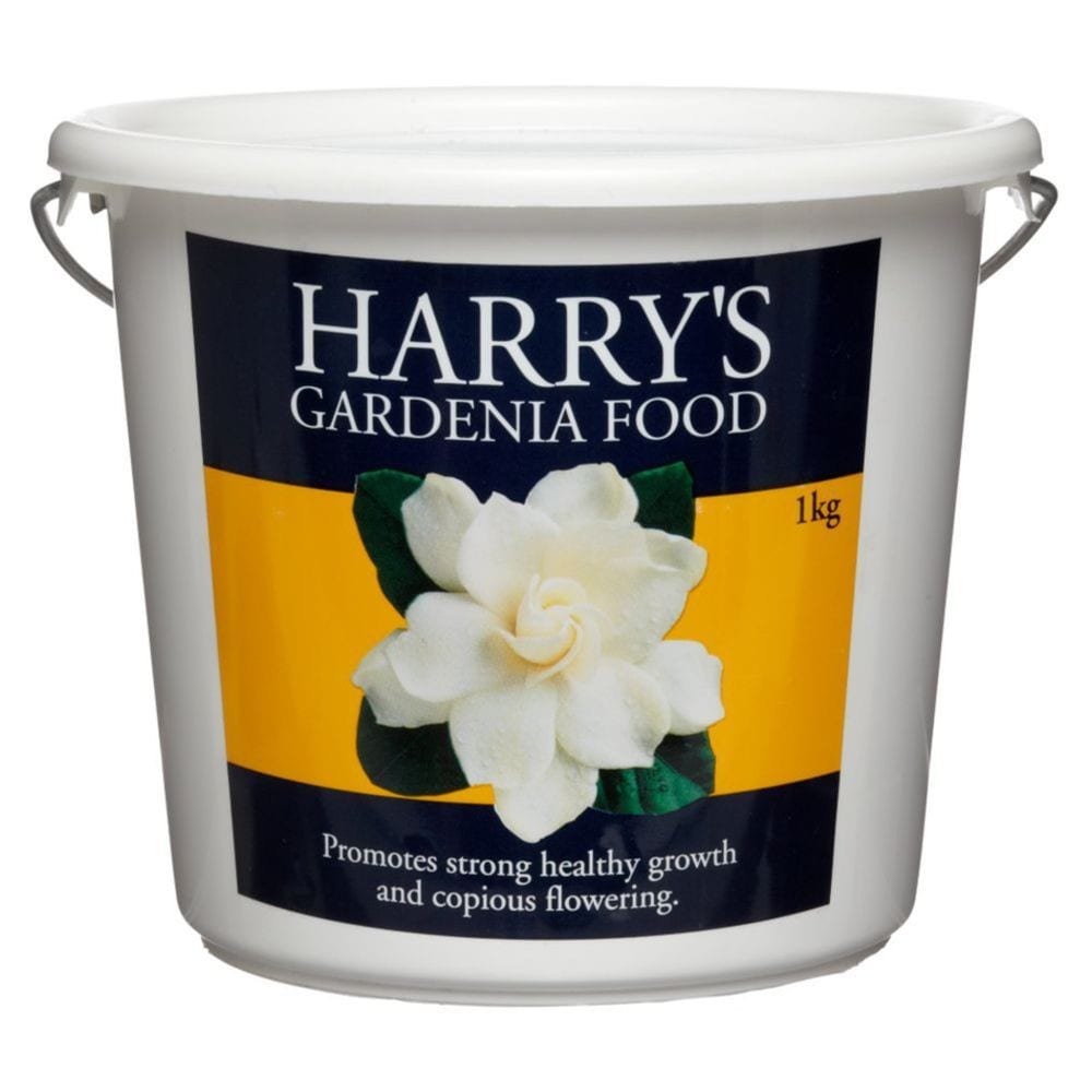 Gardenia food
