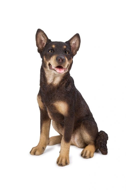 RED KELPIE SITTING UF51747 Garden Feast