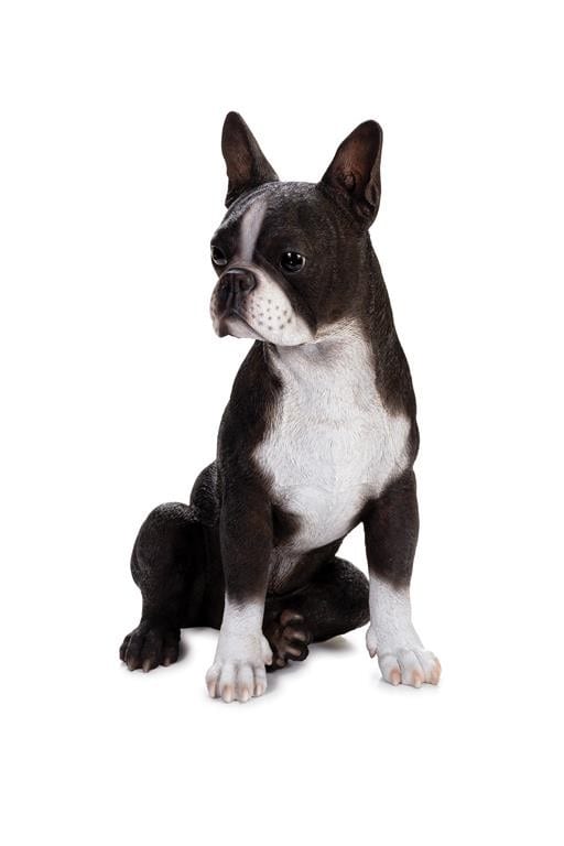 BOSTON TERRIER LARGE BLACK WHITE UF55714 | Garden Feast