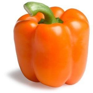 CAPSICUM BELL ORANGE 100MM | Garden Feast