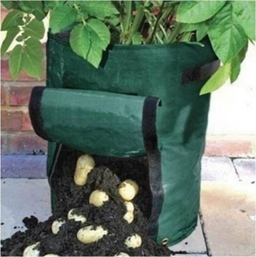 Potato Grow Bag (2bags40lt) Garden Feast