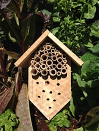 INSECT HOTEL | Garden Feast