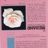 ROSE MOTHERS LOVE 3FT STD 250MM - Image 2