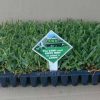 PALMETTO TURF VIRO CELLS
