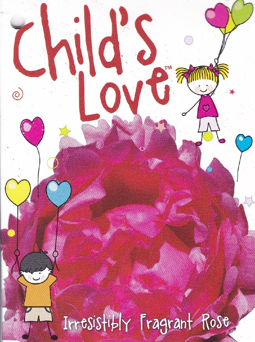 ROSE CHILDS LOVE 200MM Garden Feast