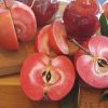 APPLE RED LOVE DWARF 250MM - Image 2