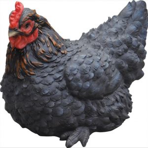 HEN SITTING BLACK LARGE