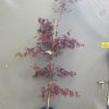 ACER PALMATUM ATROPURPUREUM 25CM - Image 2