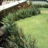 DIANELLA CASSA BLUE 140MM - Image 3