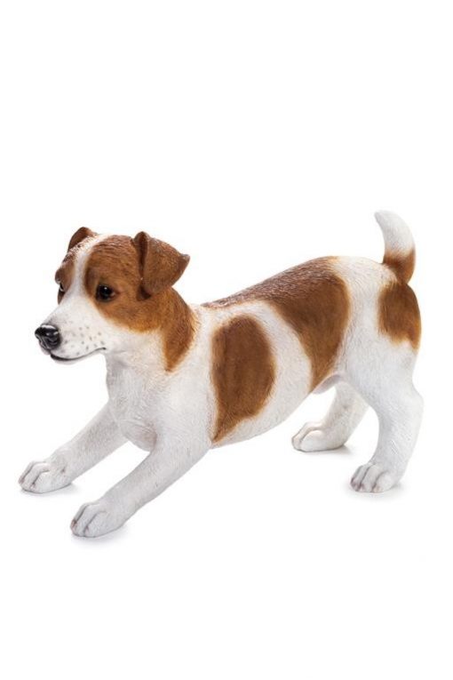 JACK RUSSELL BROWN & WHITE UF55707