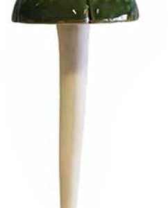 MUSHROOM GREEN SINGLE CR059