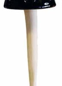 MUSHROOM BLUE SINGLE CR057