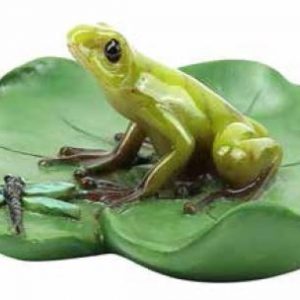 FROG & DRAGONFLY ON LILY PAD FG25