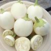 EGGPLANT WHITE STAR