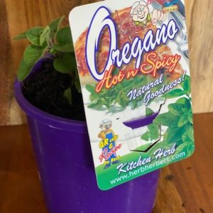 OREGANO HOT & SPICY