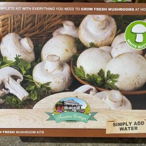 MUSHROOM KIT WHITE BUTTON