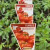 TOMATO GROSSE LISSE 2