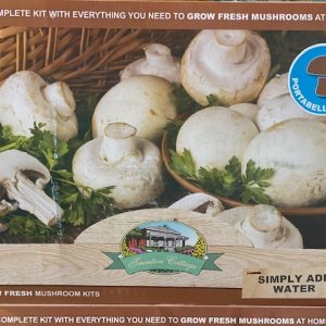 MUSHROOM KIT PORTOBELLO 2516342