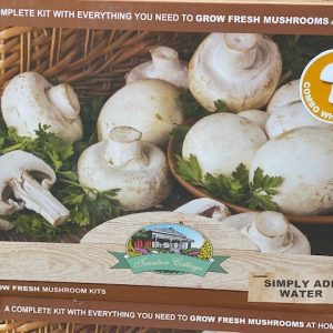 MUSHROOM KIT COMBINATION 2516334