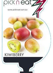 KIWIBERRY 2LT