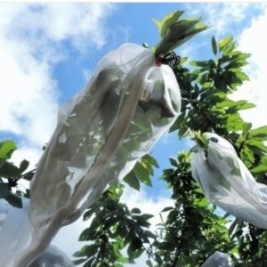 FRUIT PROTECTION SLEEVE XL 30X90CM