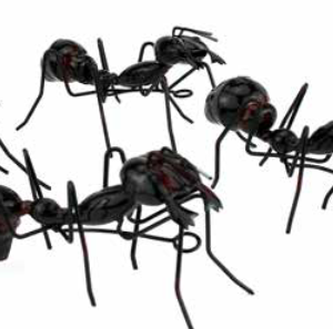 ANT METAL WALKING SMALL