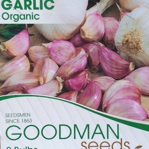 GARLIC ORGANIC 2 BULBS