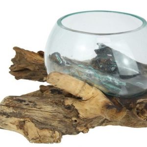 GLASS BOWL ON DRIFTWOOD 35X20CM