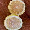 LEMON EUREKA DWARF 250MM - Image 2