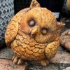 OWL FAT - Image 3