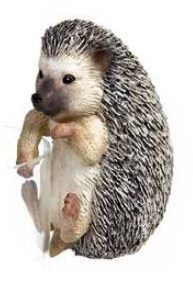 POT HANGER ECHIDNA SPIKE