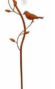 RAIN GAUGE BIRDS ON A VINE