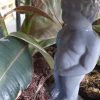 PEE MY PLANTS PLANT LIFE WATERER - Image 2