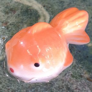 GOLDFISH FANTAIL FLOATING MED