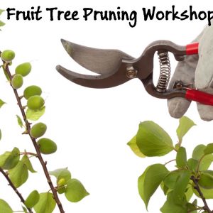 Ticket: Winter Fruit Tree Pruning Workshop 2022/08/13 - 2022/08/13