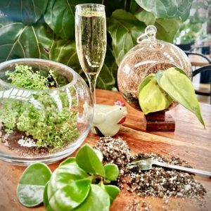 Ticket: Winter Fruit Tree Pruning Workshop 2022/08/13 - 2022/08/13 (Copy) (Copy)