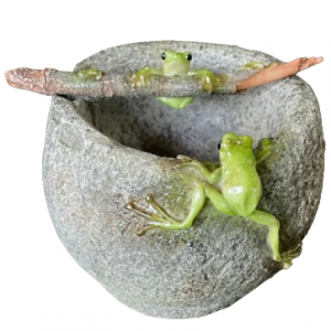 CURIOUS FROGGY ON POT WITH STICK