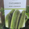 CUCUMBER BEBE LEBANESE PUNNET - Image 2