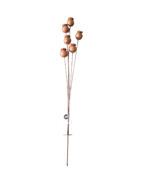 STAKE POPPY HEAD RUST