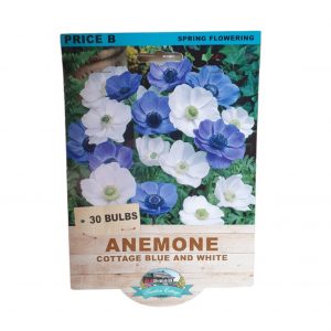 Anemone Cottage Blue & White 20 Bulbs