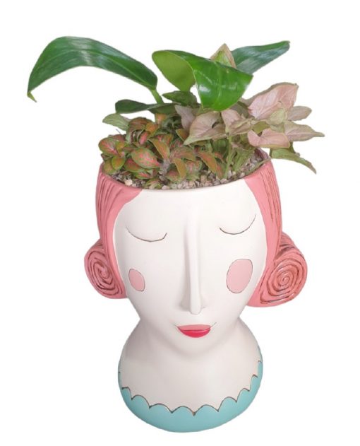 Planter Rose Lady Indoor Garden