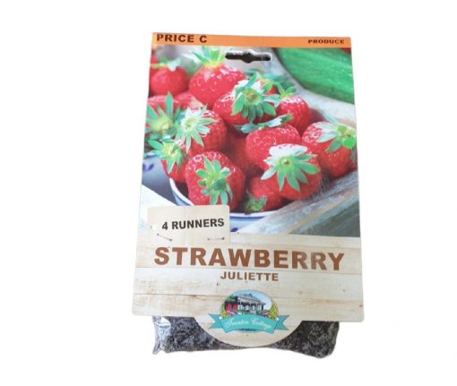 Strawberry Juliette Runners Pack Of 4