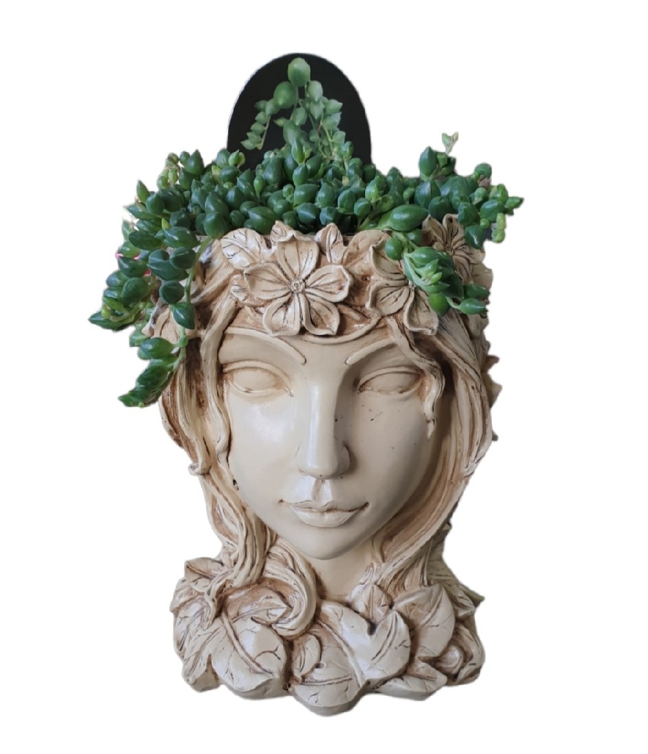 Planter Grecian Head Senecia Angels Tears | The Garden Feast