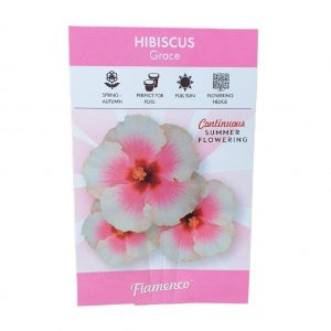 Hibiscus Flamenco Grace 140mm