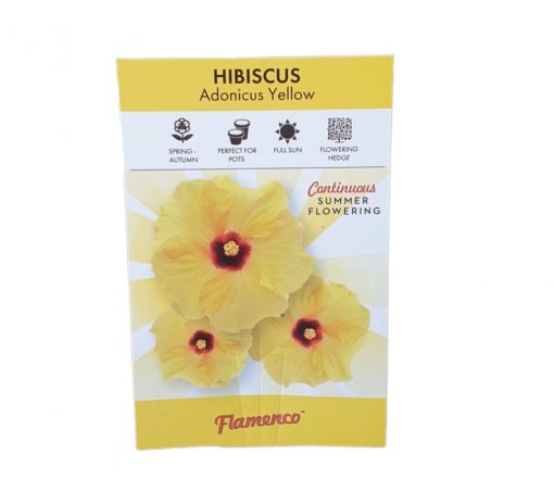 Hibiscus Adonicus Yellow 140mm