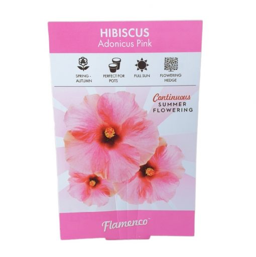 Hibiscus Adonicus Pink 140mm