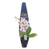 Orchid Phalaenopsis Safe Haven 60mm - Image 2