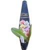 Orchid Phalaenopsis Deejay Soul 60mm - Image 2